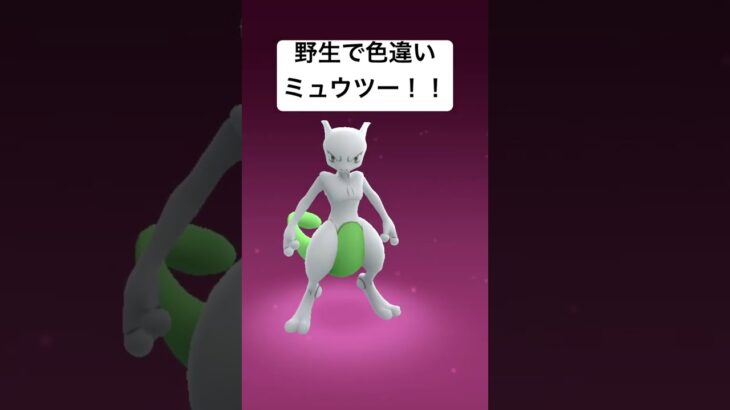 野生で色違いミュウツー！！#ゲーム #ポケモンgo