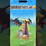 ギラティナはシャドウに勝てるらしい？ #ポケモンgo #gbl #shorts #goバトルリーグ アナザー ギラティナ ニョロボン ヨクバリス vs  シャドウ オーダイル ハガネール ビリジオン