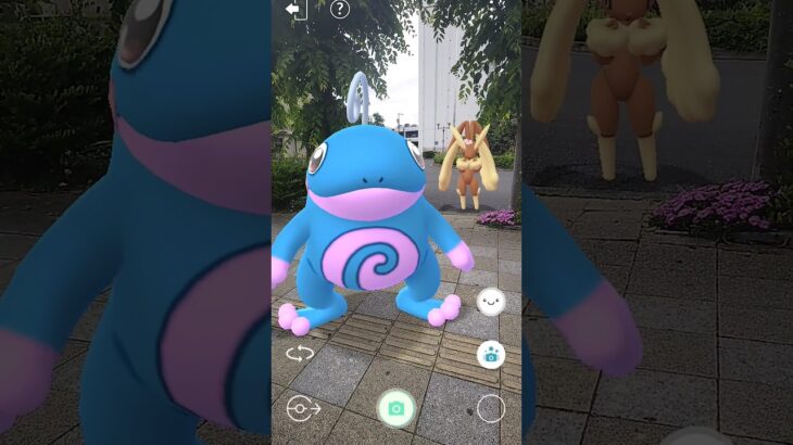 【トゲ、カエルちゃん、ウサギちゃん】#ポケモン #ポケモンgo #pokémongo