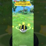 今、緊急で動画上げてます #ポケモンgo #pokemongo #shorts