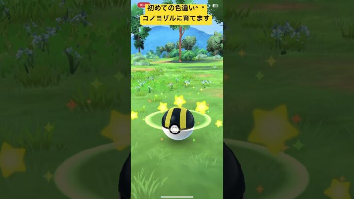 今、緊急で動画上げてます #ポケモンgo #pokemongo #shorts