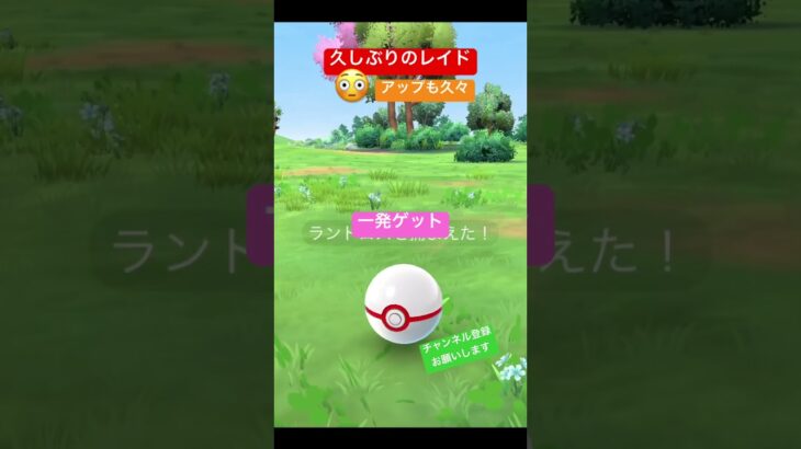 なんとか1回だけ💦 #ポケモンgo #ポケモン #pokemongo #pokemon #レイド #ランドロス #チャンネル登録お願いします #shorts