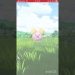 15分『ガラル三鳥探し』♥️No.616♥️【ポケモンGO】#shorts #ポケモン  #ゲーム実況