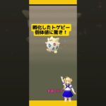 2kmたまごから高個体値トゲピー出現！#ポケモンgo #たまご孵化 #トゲピー #高個体値