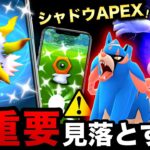 ついに初色違いメラルバ！特別なシャドウAPEX復刻と色違い確定入手のまぼろしも！？今日＆明日の確認事項【ポケモンGO】