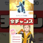 【ポケモンGO】セビエ乱獲今なら高個体狙える！ #セビエ #野良セビエ #ネッコアラ #セグレイブ