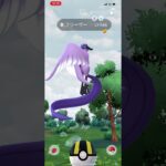 【ムーさん】ポケモンGO ガラルフリーザー　#ガラル三鳥