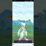 ポケモンGO マスターリーグ ミュウツー、ボーマンダ、ドリュウズ