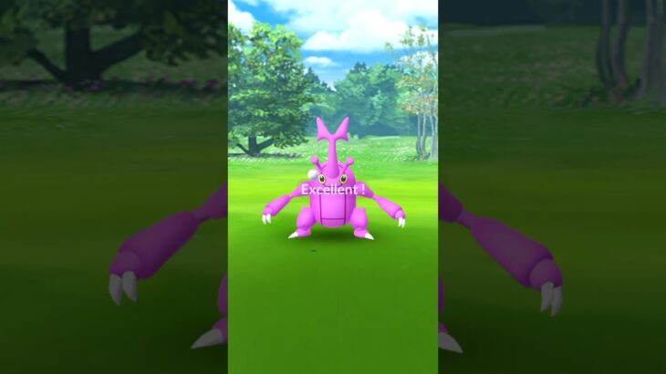 【ポケモンGO】ヘラクロスの色違いゲッチュ！！