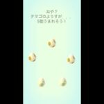 【ポケモンGO】ただひたすらたまご割っていく