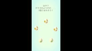 【ポケモンGO】ただひたすらたまご割っていく