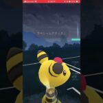 ポケモンGO(サマーカップ)何がことなどあれば教えてください！！