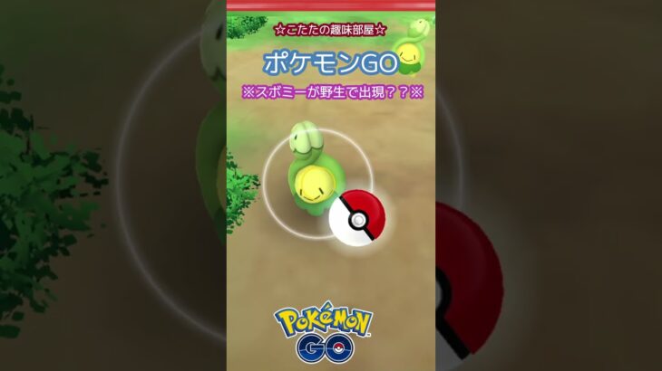 【ポケモンGO】バグ？野生のスボミーが登場？ #shorts