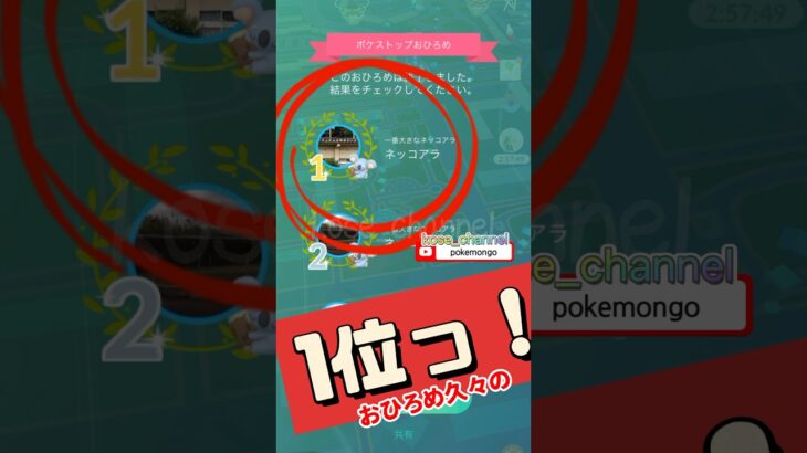 【ポケモンGO】ネッコアラリターンズ？おひろめ1位のアイテムは？ #ネッコアラ #ネッコアラ1位 #おひろめ #色ちがいヤレユータン