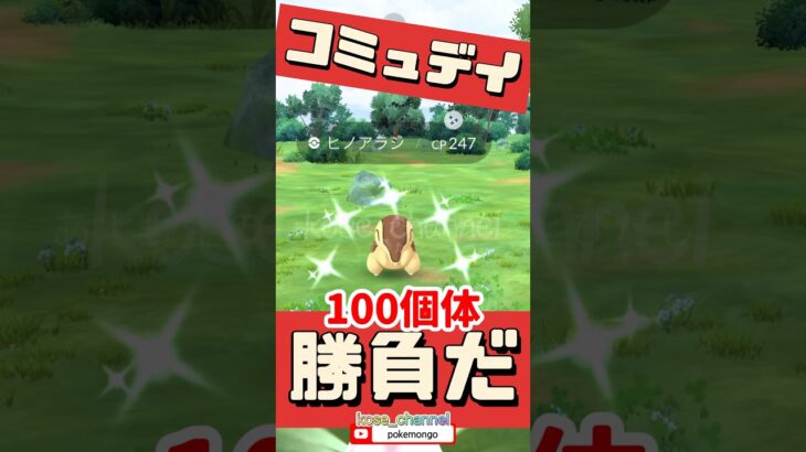 【ポケモンGO】アレ忘れないで！ヒノアラシ100個体勝負！色ちがいいっぱいで満腹！ #ヒノアラシ100個体 #色ちがいヒノアラシ #ヒノアラシ確率 #特別わざ