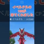 【ポケモンGO】イベルタルの100が来てくれました！#shorts #pokemongo