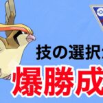 サマーカップで爆勝ち！ピジョットが強すぎました！！【ポケモンGO】【GOバトルリーグ】