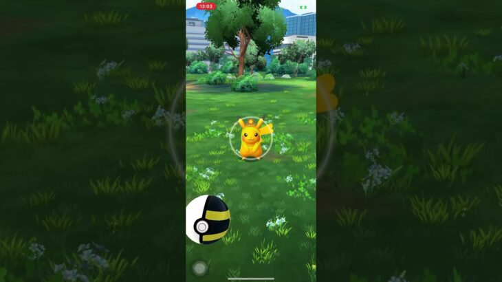 ポケモンGO❗️🌟色違い🌞ピカチュウ出現🥳仙台GOフェス😊