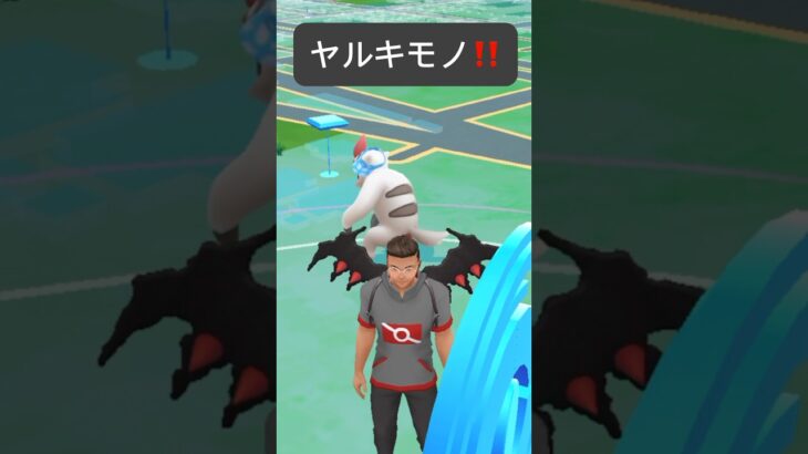 【ポケモンGO】ヤルキモノが現れた!!【✨Vigoroth Pokémon GO X Pokemon Card Artwalk✨】