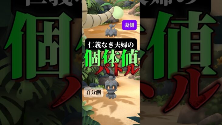 【マーシャドー】夫婦の個体値バトル！【ポケモンGO】　#ポケモンgo #ポケモン #pokemon #pokemongo #gofest2024 #マーシャドー　#shorts