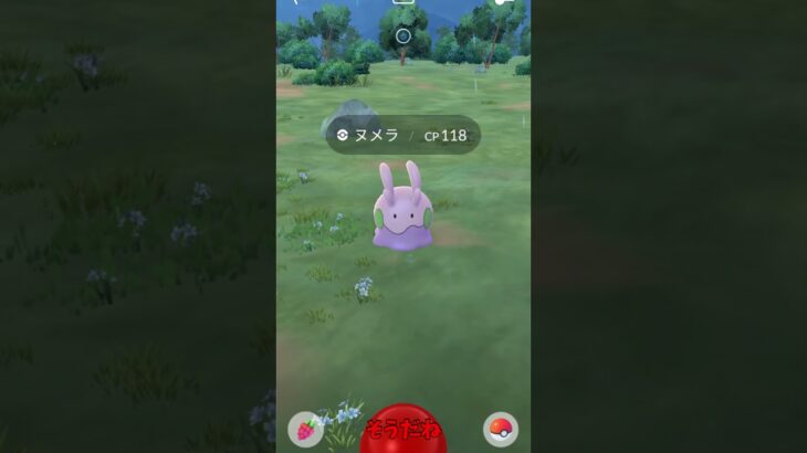 【ポケモンGO】ヌメラの色違い捕まえたらまさかの、、、　＃shorts