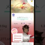 【PL50】 ピジョット 個体値100 #ポケモンGO #pokemon  #pokemongo  #ピカチュウ  #ポケモン #ちびまる。チャンネル