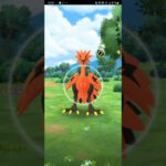 【PokémonGO】絶望的CP・・・・　だが!!?【ブルックGO】 #shorts #ポケモンgo #pokemongo #ブルックGO