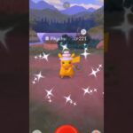 ✨Shiny Cake Hat Pikachu CAUGHT In Pokemon Go!✨ #shorts #pokemon