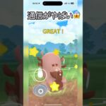 通信には気をつけよう！ #ポケモンgo #gbl #shorts #goバトルリーグ #ハイパーリーグ アナザーギラティナ ニョロボン ヨクバリス vs ミュウツー フシギバナ 色違いゲッコウガ