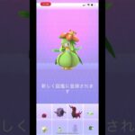 ポケモンgo 野生のドレディアゲットチャレンジ　レアい！　#pokemongo