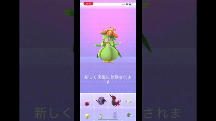 ポケモンgo 野生のドレディアゲットチャレンジ　レアい！　#pokemongo