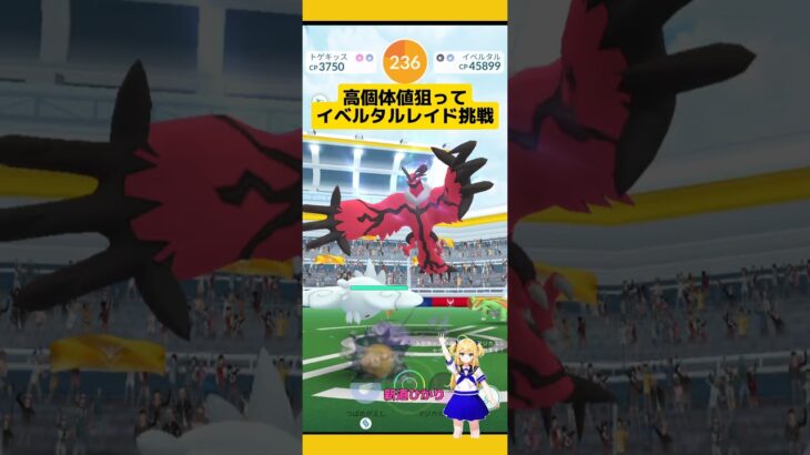 高個体値狙ってイベルタルレイド挑戦！結果は?#ポケモンgo #イベルタル #伝説レイド #レイド #pokemongo