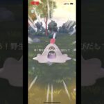 ポケモンgo 最大サイズスナバァゲットチャレンジ　#pokemongo #xxl