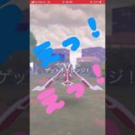 【ポケモンgo】イベルタル15人討伐！