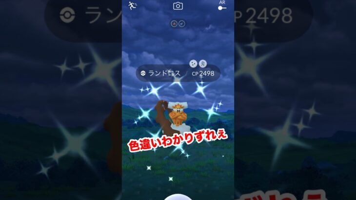 【ポケモンgo】ランドロス色違い厳選！！色違いわかりずらくない？　#ポケモンgo #ポケモン　#ランドロス　#色違い　#shorts #パチストラッシュ