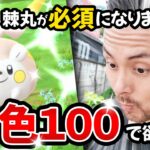 優先順位が大事！？色違いトゲデマルは100％で狙え！？100タップした結果…！！【ポケモンGO】