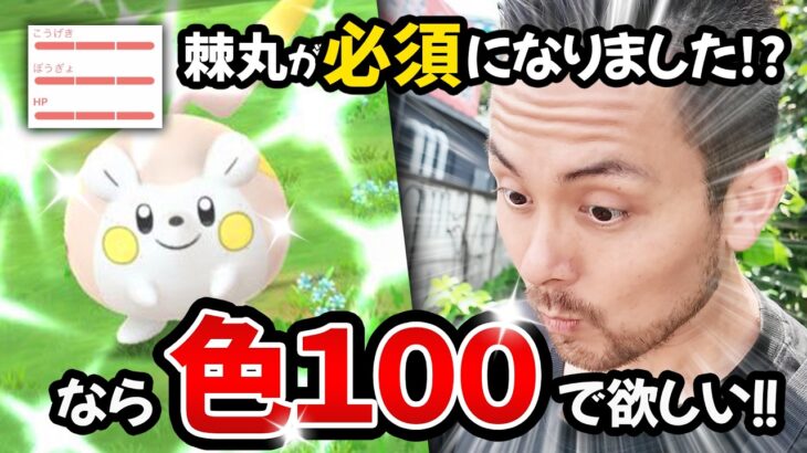 優先順位が大事！？色違いトゲデマルは100％で狙え！？100タップした結果…！！【ポケモンGO】