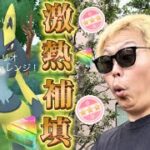 色違い個体値100%メガルカリオに愛された男の補填レイドデイ【ポケモンGO】