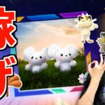 今日18時から勝負!! 明日からは稼ぎ時!! 情報確認しましょう!!【ポケモンGO】