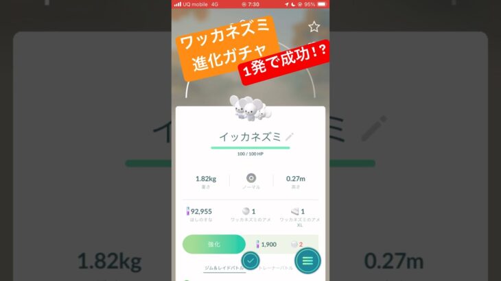 ワッカネズミ進化ガチャ、1発で成功！？#ポケモンgo #ワッカネズミ#ポケモン