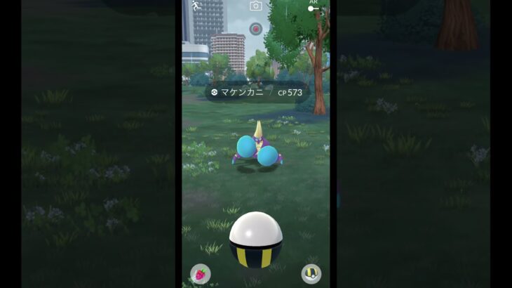 影のナゾ (3/6)【ポケモンGO】