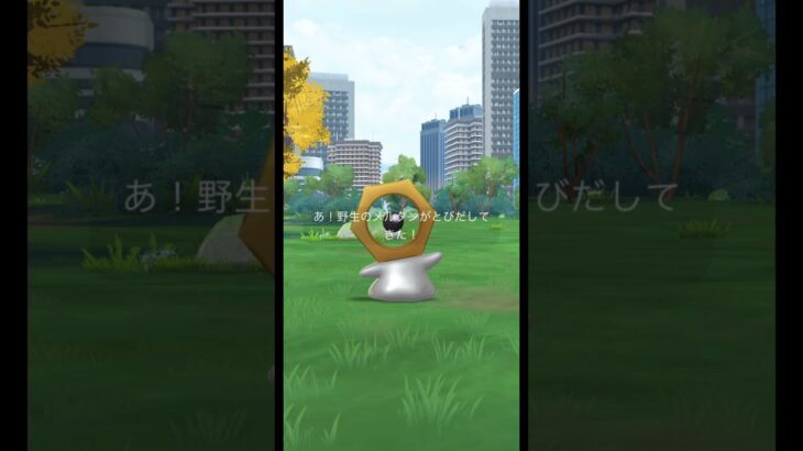 8周年記念タイムチャレンジ (2/2)【ポケモンGO】