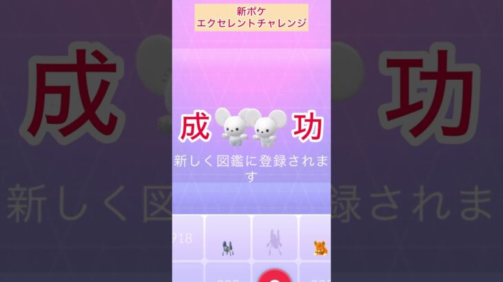 ワッカネズミ図鑑登録！新ポケエクセレントチャレンジ！【ポケモンGO】