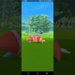 ポケモンGO　色違い　最高の瞬間＃１０５