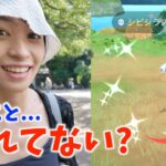 みんな、忘れてないよね？？？灼熱のシビシラスのコミュニティデイをガチった結果!!!!!!!!!【ポケモンGO】