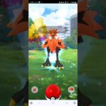 ポケモンGO　ガラルサンダー初遭遇で、、