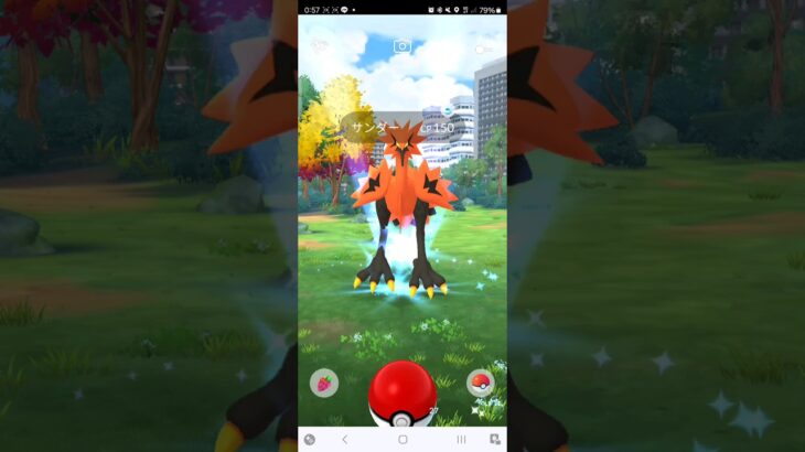 ポケモンGO　ガラルサンダー初遭遇で、、