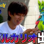 【ポケモンGO】メガルカリオ新実装！カッコ良すぎる…色違い来い！