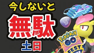 【超重要】もう今日からコレしとかないと今年のGOフェス無駄に！あの神ボーナス活用も【土日やること＆今週まとめ】