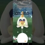 ポケモンGO　色違い　最高の瞬間＃９７